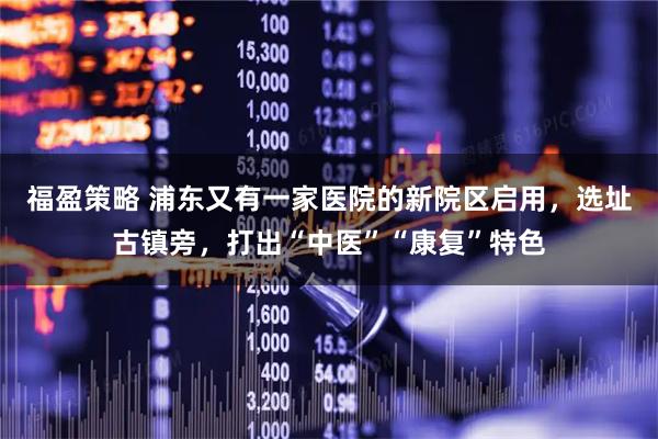 福盈策略 浦东又有一家医院的新院区启用，选址古镇旁，打出“中医”“康复”特色