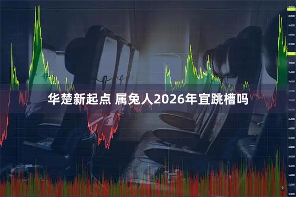华楚新起点 属兔人2026年宜跳槽吗