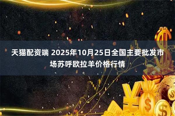 天猫配资端 2025年10月25日全国主要批发市场苏呼欧拉羊价格行情