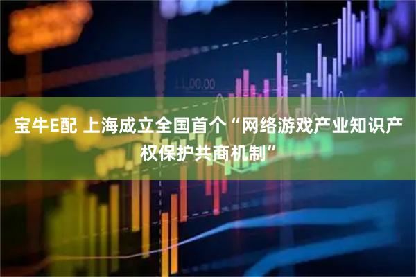 宝牛E配 上海成立全国首个“网络游戏产业知识产权保护共商机制”