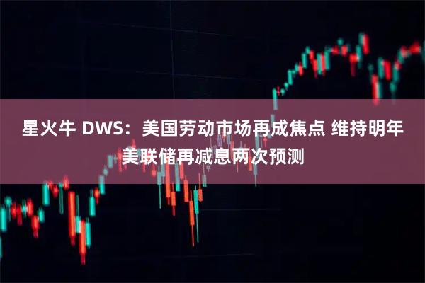 星火牛 DWS：美国劳动市场再成焦点 维持明年美联储再减息两次预测