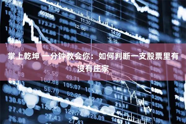 掌上乾坤 一分钟教会你：如何判断一支股票里有没有庄家