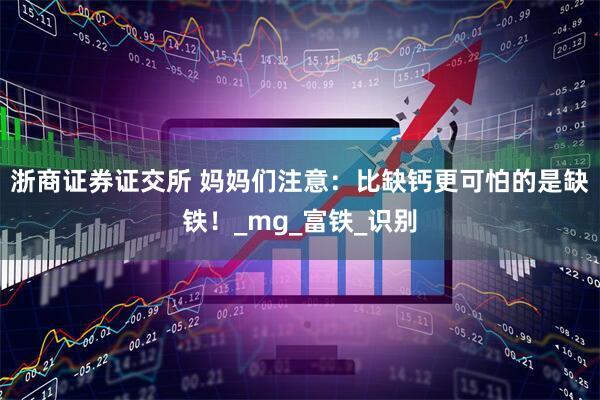 浙商证券证交所 妈妈们注意：比缺钙更可怕的是缺铁！_mg_富铁_识别